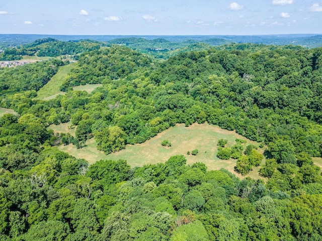 0 Hartland Rd, Franklin, TN 37069 - photo 14