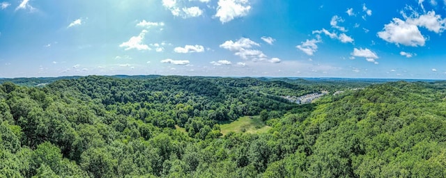 0 Hartland Rd, Franklin, TN 37069 - photo 2