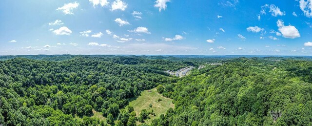 0 Hartland Rd, Franklin, TN 37069 - photo 4