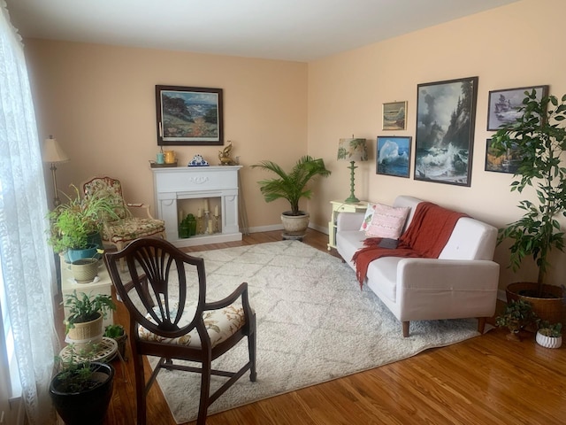 living area featuring light hardwood / wood-style floors