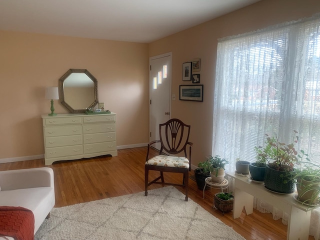 living area with hardwood / wood-style floors