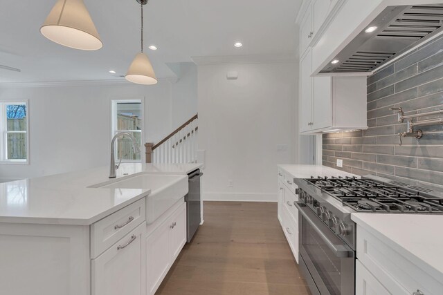 kitchen featuring stainless steel appliances, dark wood-style flooring, crown molding, and custom exhaust hood