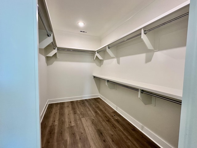 walk in closet featuring visible vents and dark wood-type flooring