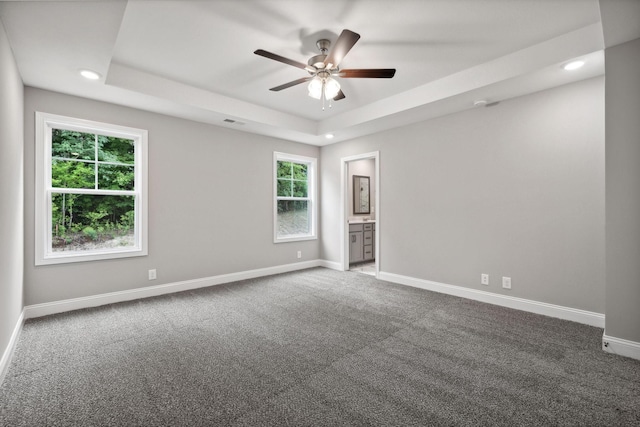 empty room with carpet, plenty of natural light, and a tray ceiling