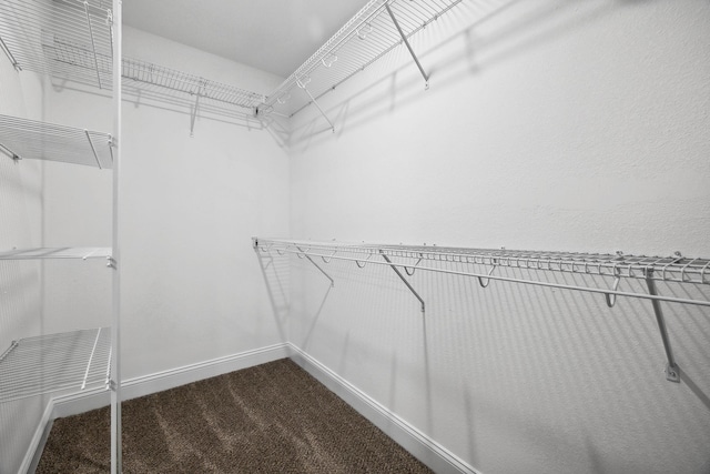 spacious closet with carpet flooring