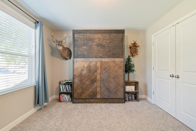 interior space featuring carpet flooring and a closet