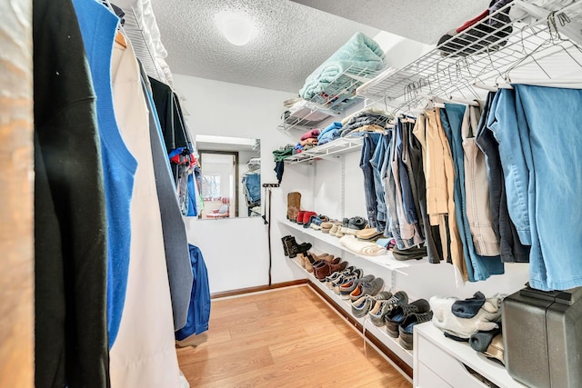 spacious closet with light wood-type flooring