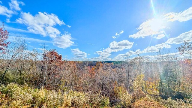 0 Lick Creek Rd, Linden, TN 37096 - photo 28