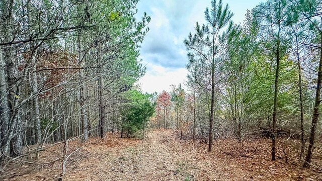 0 Lick Creek Rd, Linden, TN 37096 - photo 8