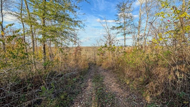 0 Lick Creek Rd, Linden, TN 37096 - photo 40