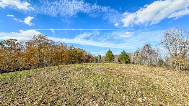 0 Lick Creek Rd, Linden, TN 37096 - photo 31