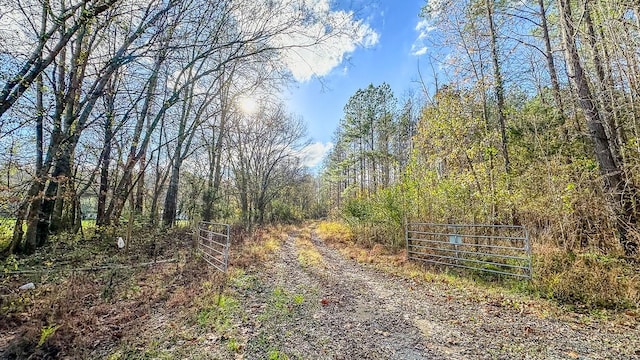 0 Lick Creek Rd, Linden, TN 37096 - photo 24