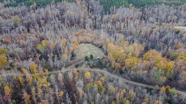 0 Lick Creek Rd, Linden, TN 37096 - photo 22