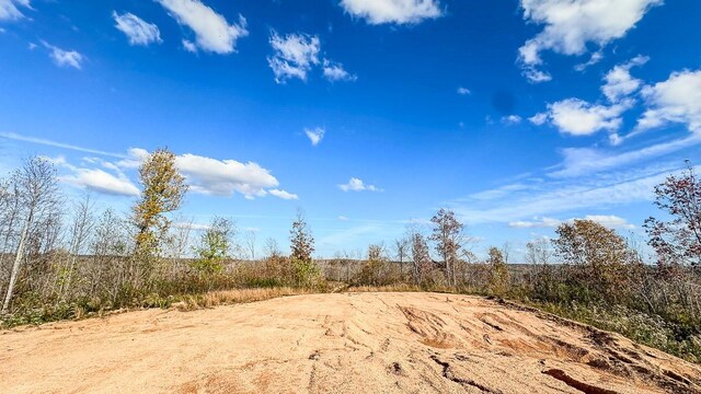 0 Lick Creek Rd, Linden, TN 37096 - photo 27