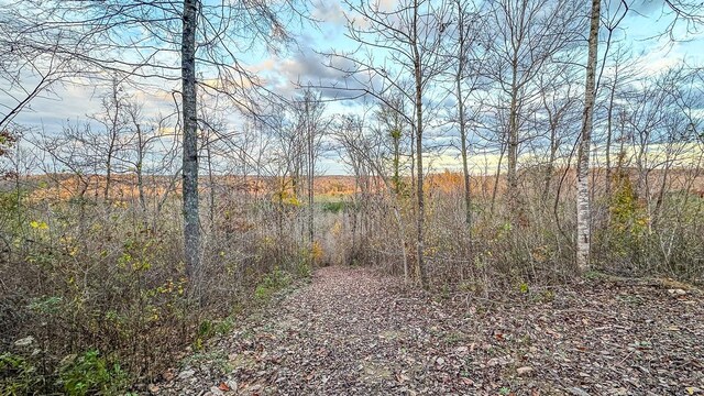 0 Lick Creek Rd, Linden, TN 37096 - photo 4