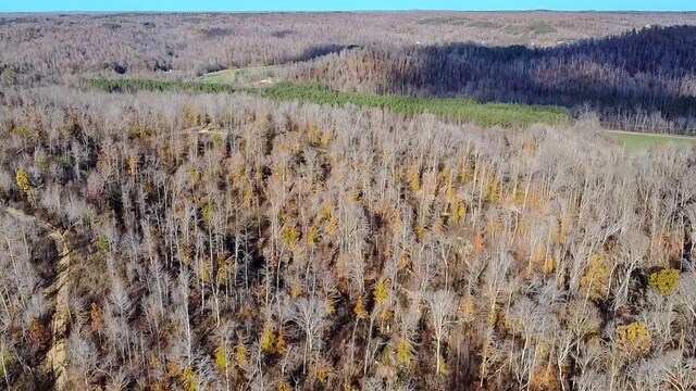 0 Lick Creek Rd, Linden, TN 37096 - photo 16