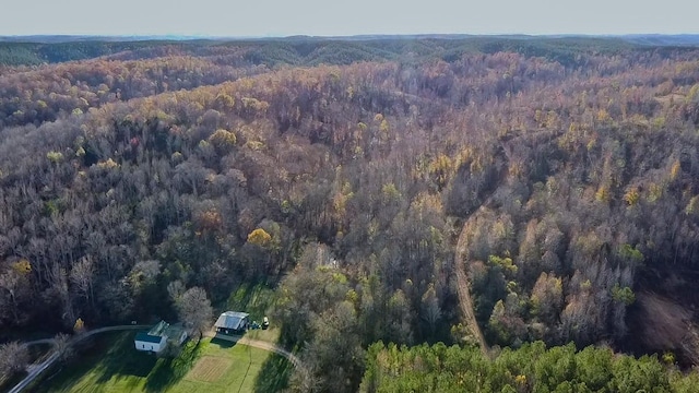 0 Lick Creek Rd, Linden, TN 37096 - photo 13