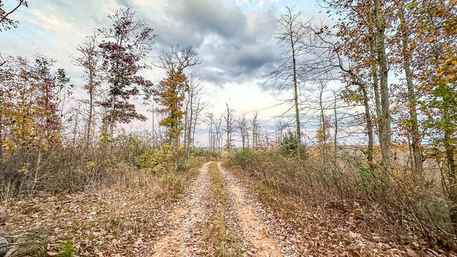 0 Lick Creek Rd, Linden, TN 37096 - photo 10