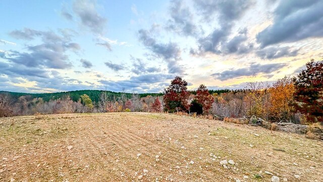 0 Lick Creek Rd, Linden, TN 37096 - photo 6