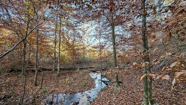 0 Lick Creek Rd, Linden, TN 37096 - photo 38