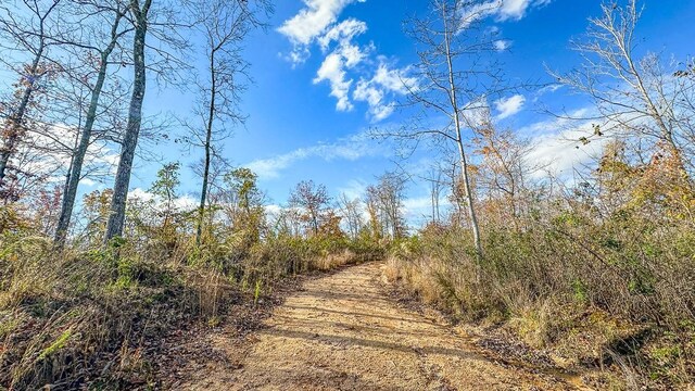 0 Lick Creek Rd, Linden, TN 37096 - photo 26