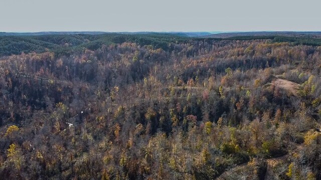 0 Lick Creek Rd, Linden, TN 37096 - photo 14