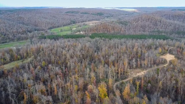 0 Lick Creek Rd, Linden, TN 37096 - photo 19