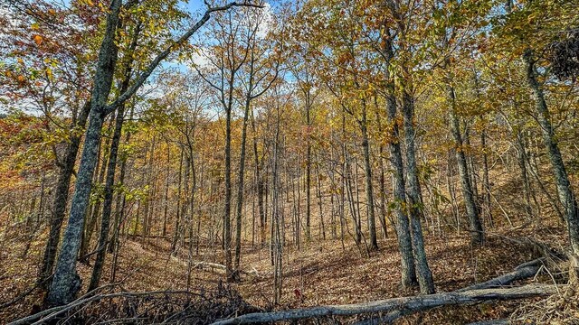 0 Lick Creek Rd, Linden, TN 37096 - photo 32