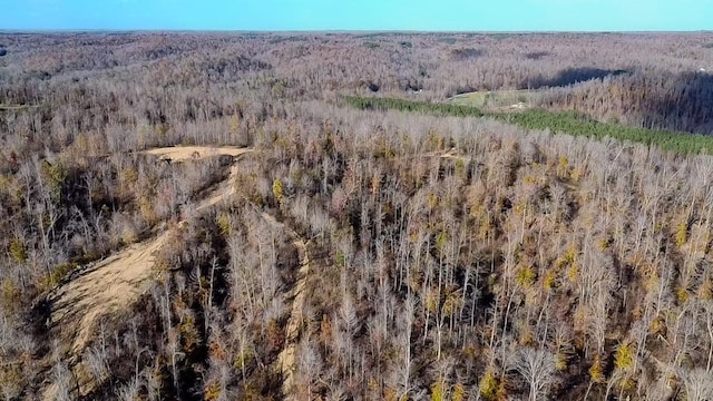 0 Lick Creek Rd, Linden, TN 37096 - photo 15