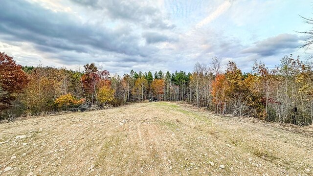 0 Lick Creek Rd, Linden, TN 37096 - photo 7