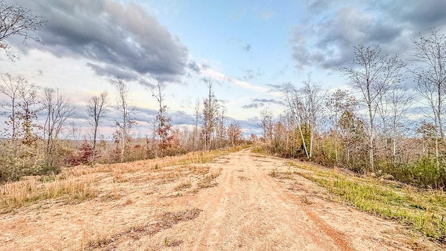 0 Lick Creek Rd, Linden, TN 37096 - photo 11