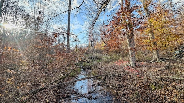 0 Lick Creek Rd, Linden, TN 37096 - photo 35