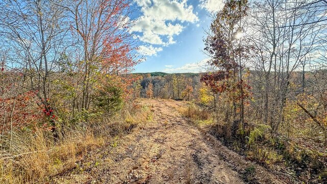 0 Lick Creek Rd, Linden, TN 37096 - photo 33