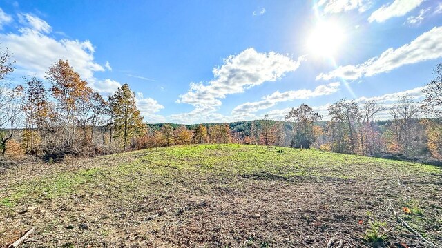 0 Lick Creek Rd, Linden, TN 37096 - photo 30