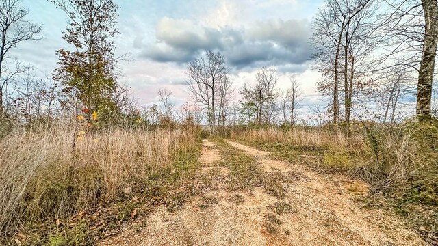 0 Lick Creek Rd, Linden, TN 37096 - photo 12