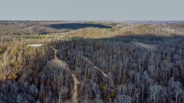 0 Lick Creek Rd, Linden, TN 37096 - photo 23