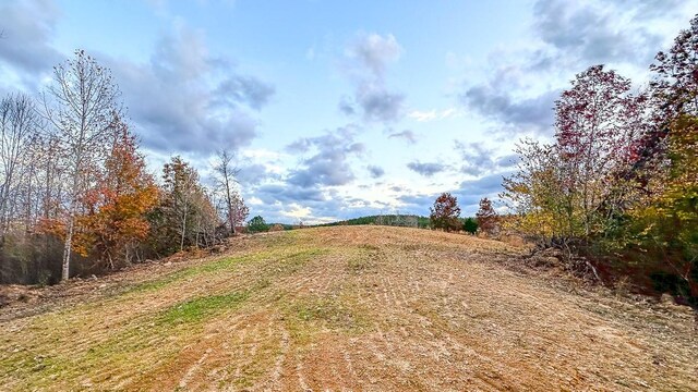 0 Lick Creek Rd, Linden, TN 37096 - photo 5