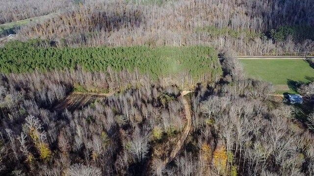 0 Lick Creek Rd, Linden, TN 37096 - photo 17