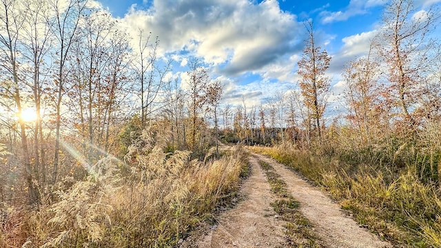 0 Lick Creek Rd, Linden, TN 37096 - photo 1