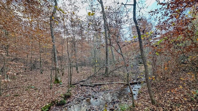 0 Lick Creek Rd, Linden, TN 37096 - photo 37