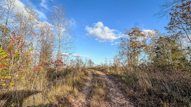 0 Lick Creek Rd, Linden, TN 37096 - photo 39