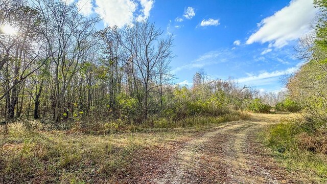 0 Lick Creek Rd, Linden, TN 37096 - photo 25