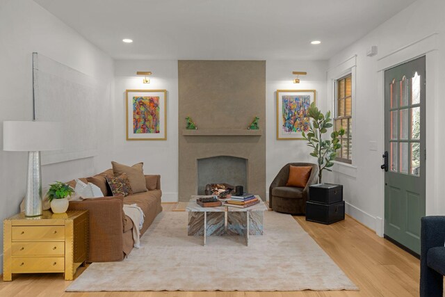 living room with a fireplace and wood-type flooring