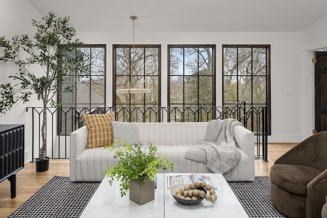 living room with wood-type flooring and a healthy amount of sunlight