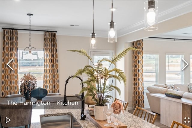 dining space with sink, hardwood / wood-style floors, and ornamental molding