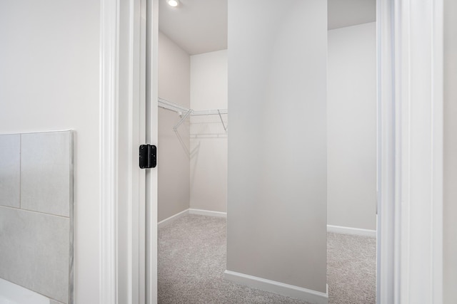 walk in closet featuring light carpet