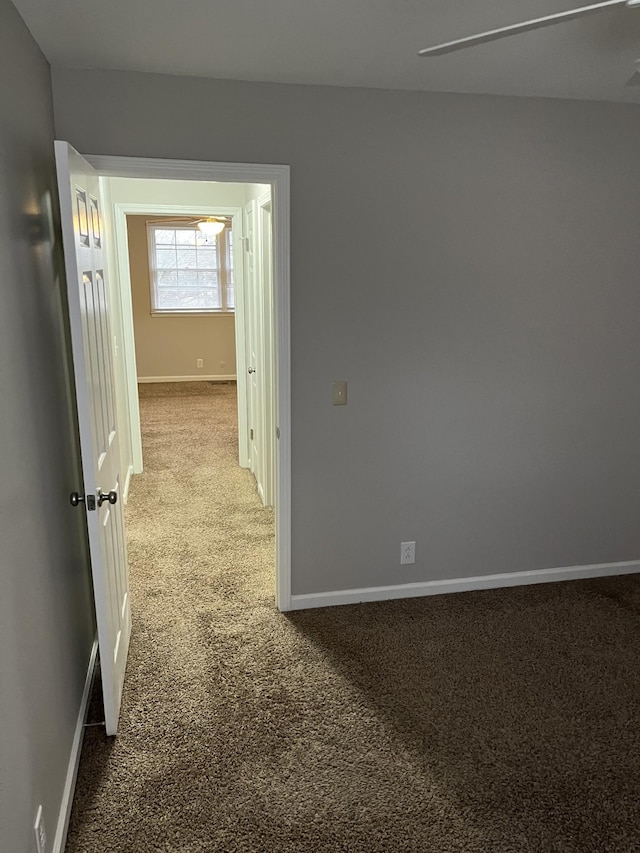 hallway with carpet