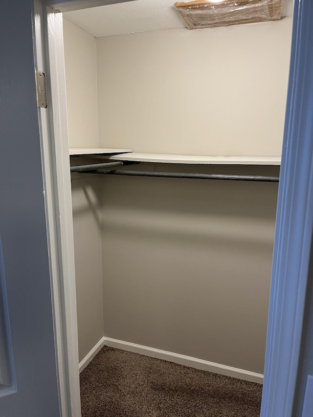 view of closet