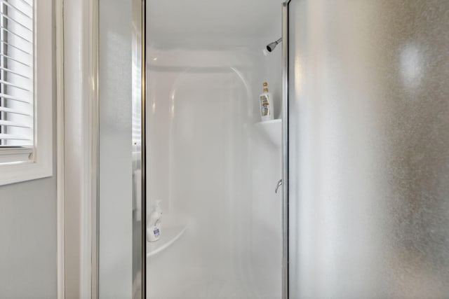 bathroom featuring a shower with shower door