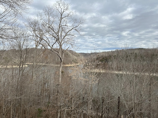 view of mountain feature